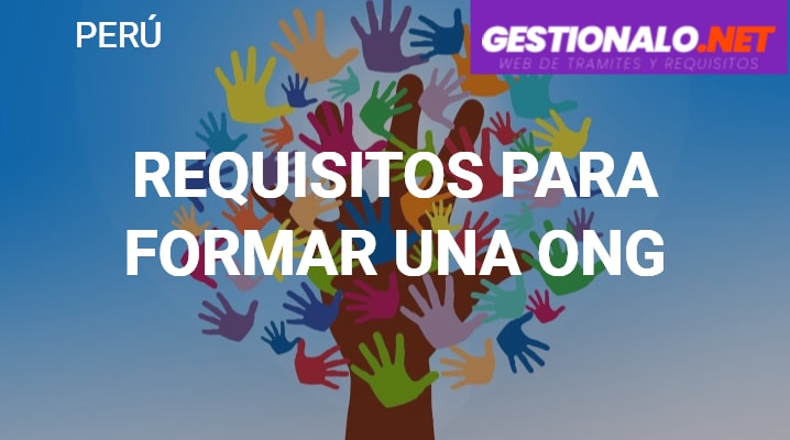 ᐈ Requisitos para Formar una ONG 【Pasos, Características y MÁS】